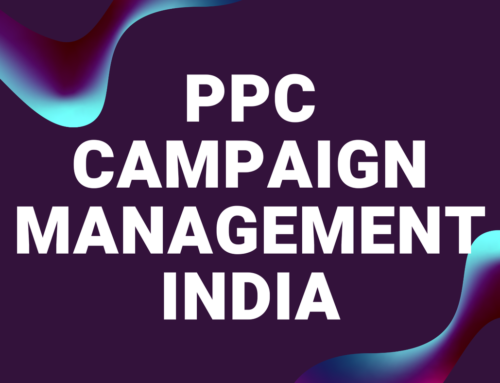 PPC Campaign Management India