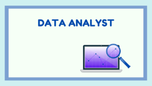 Data Analyst