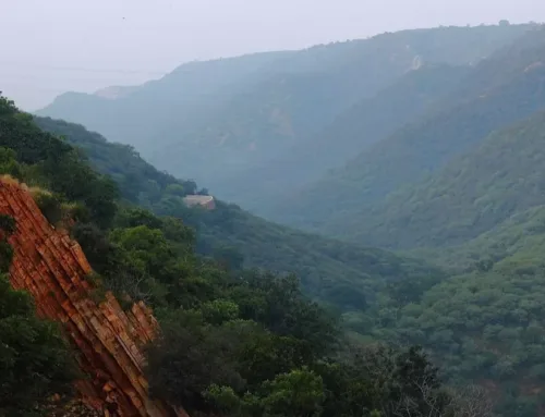 Aravalli Range: India’s Ancient Natural Guardian